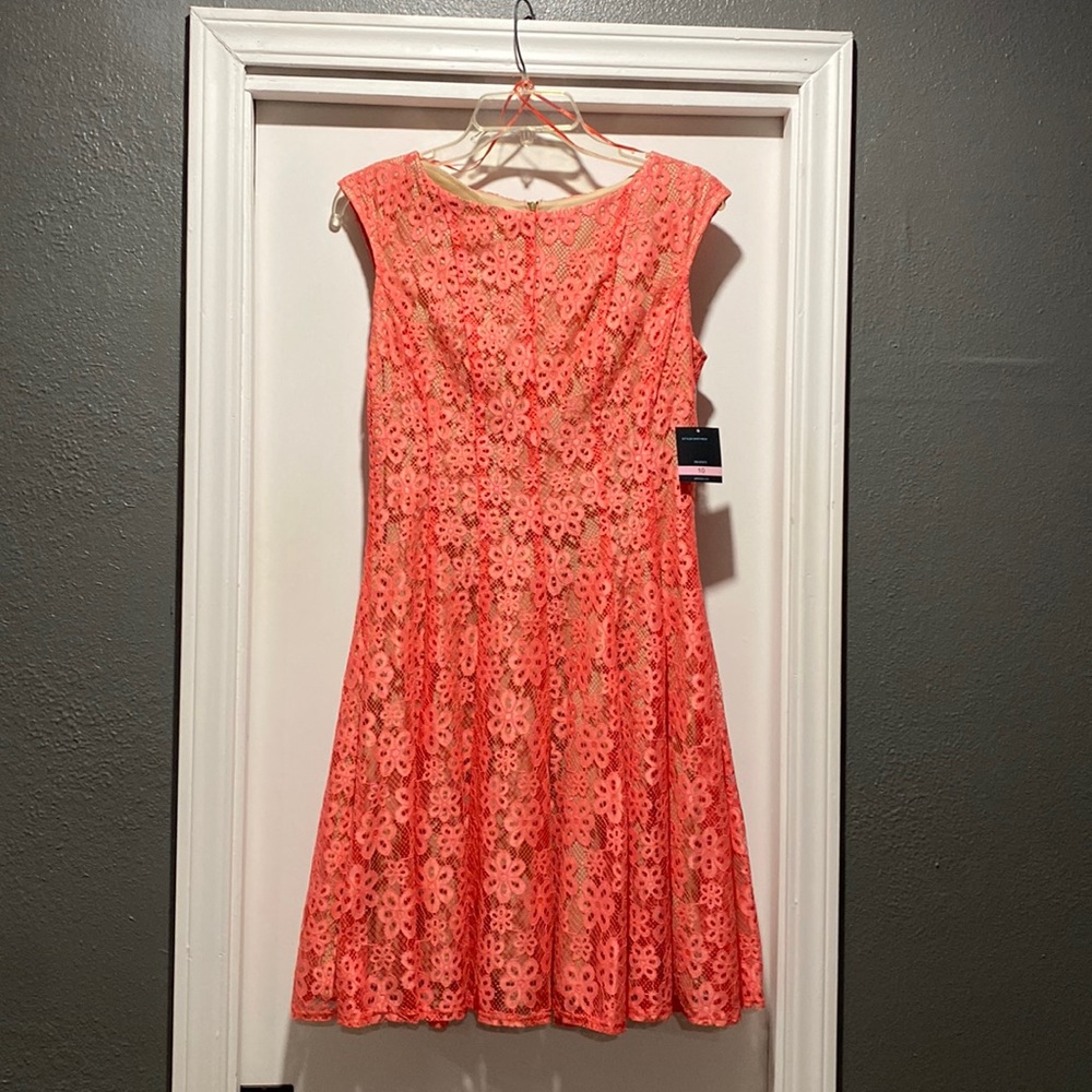 Sleeveless Dress just below knee: brand new